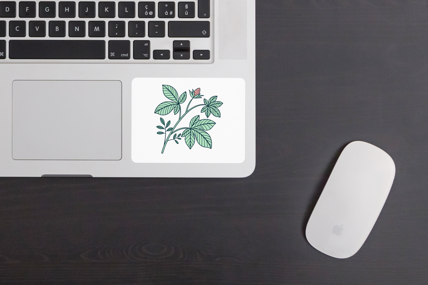 Sticker avec motif floral dessiné façon doodle, ambiance botanique délicate