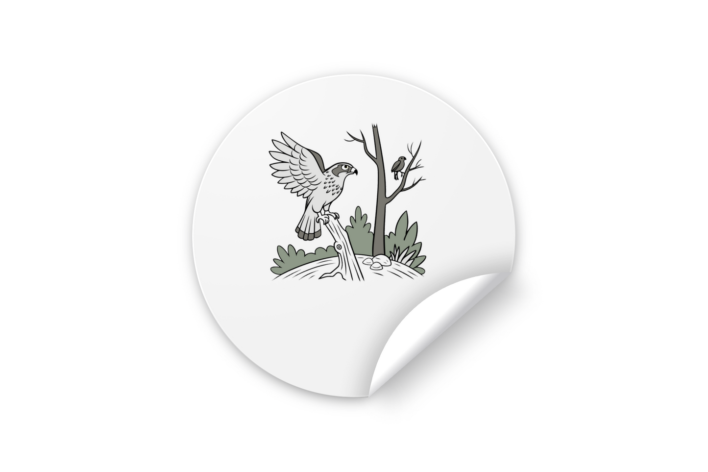 Sticker avec un faucon élégant sur thème naturel décoration murale chic