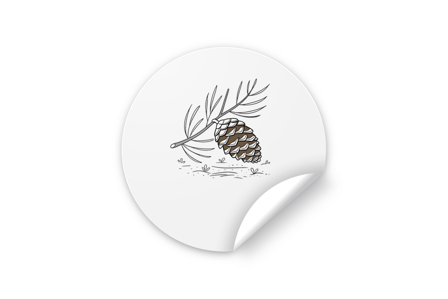 Sticker avec design minimaliste de pomme de pin équilibrée style nature
