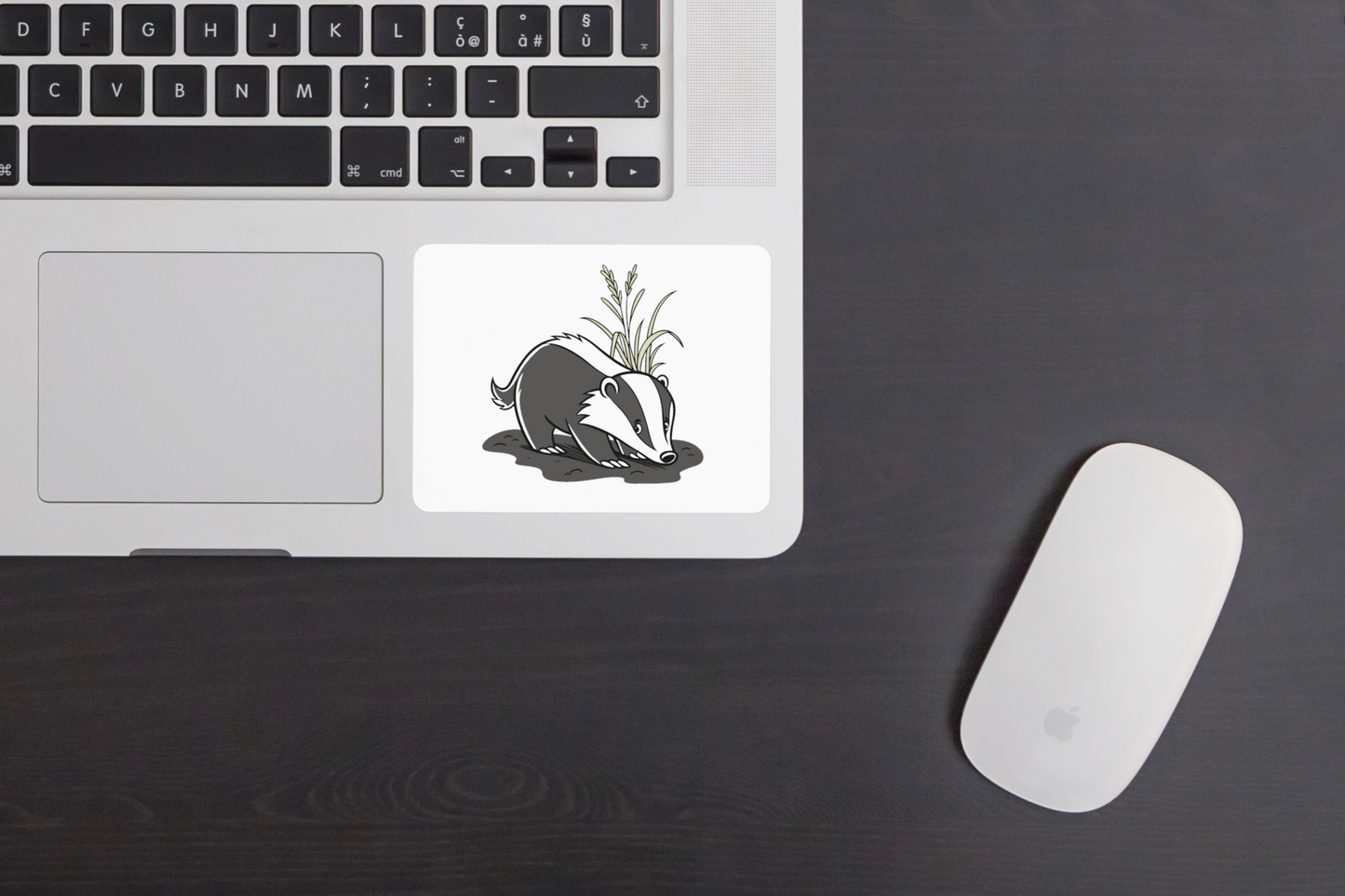 Sticker avec blaireau en style cartoon thème forestier