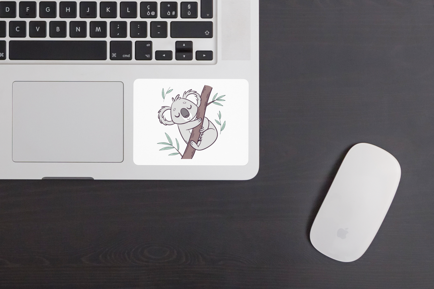 Sticker montrant un koala dormant sur un arbre, style minimaliste et apaisant