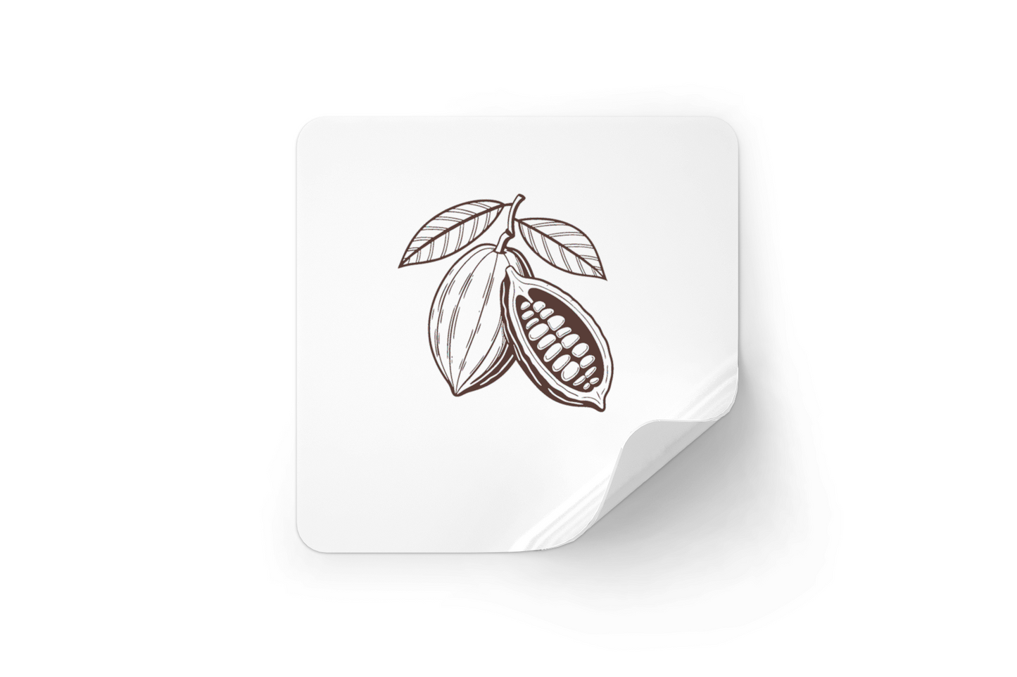 Sticker à fond blanc avec dessin vintage d'une cabosse de cacao éclatée