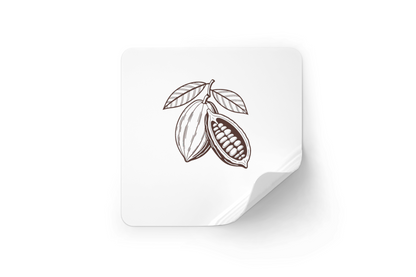 Sticker à fond blanc avec dessin vintage d'une cabosse de cacao éclatée