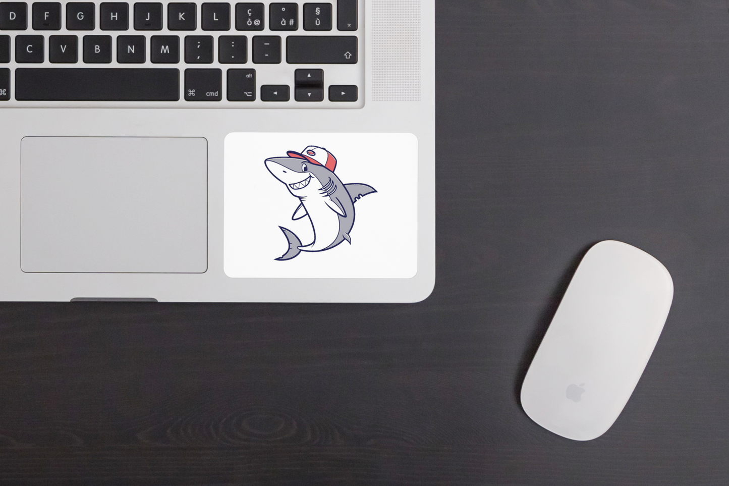 Sticker coloré avec requin souriant sous casquette sur fond marin ludique