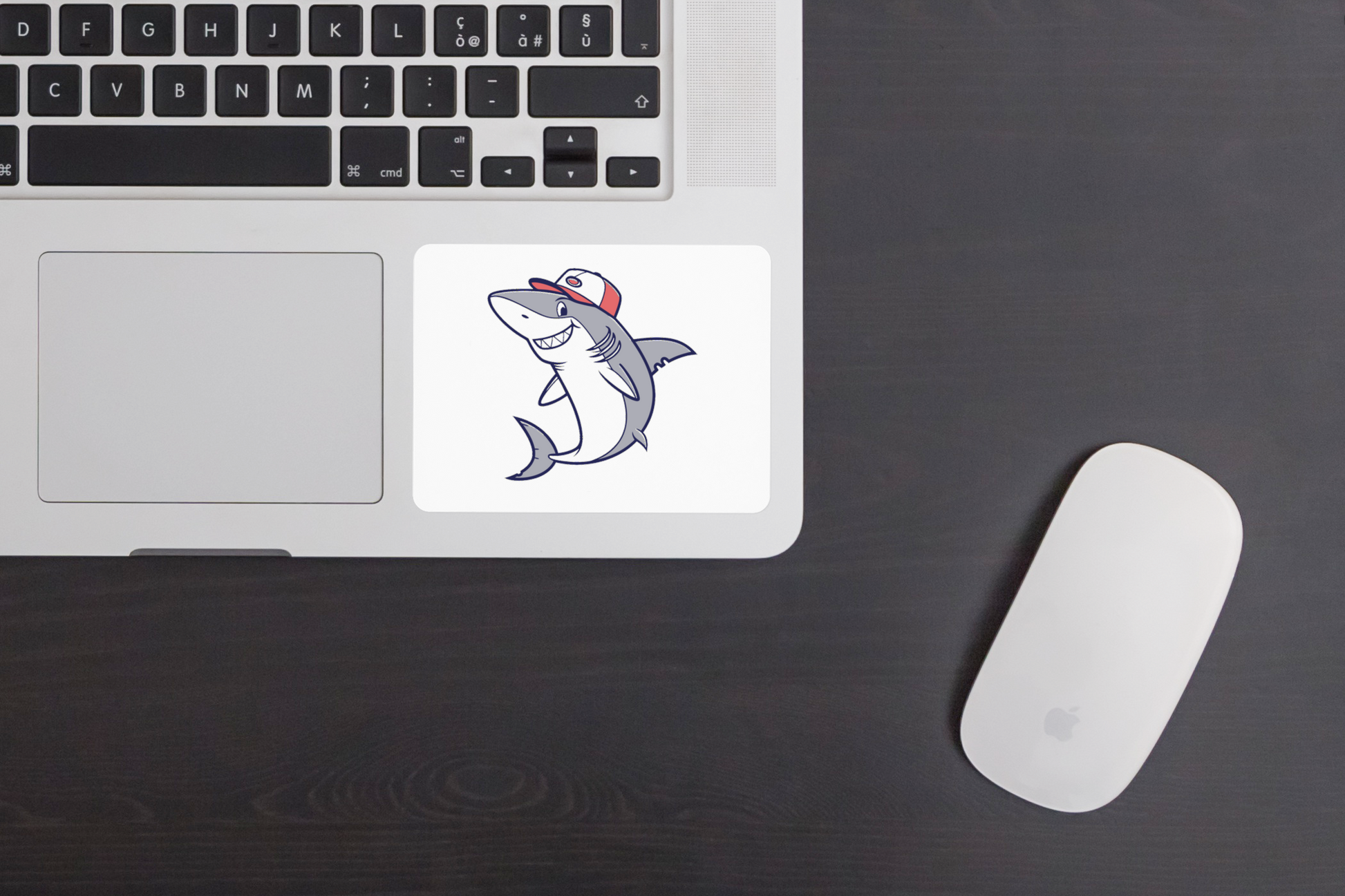Sticker coloré avec requin souriant sous casquette sur fond marin ludique