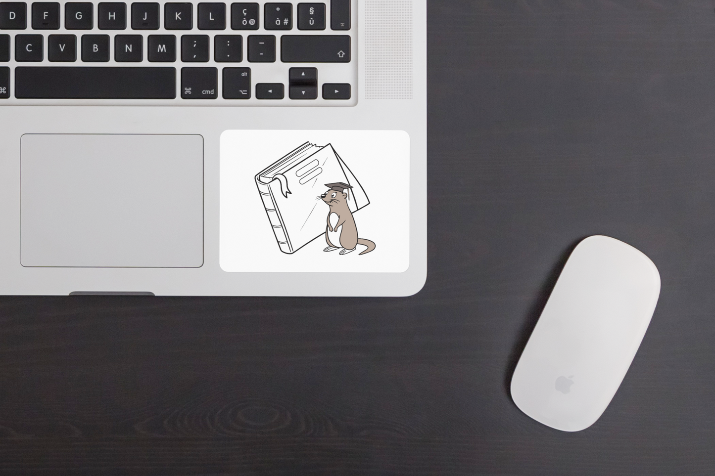 Sticker décoratif avec une loutre savante tenant un livre en style dessin graphiquement éducatif