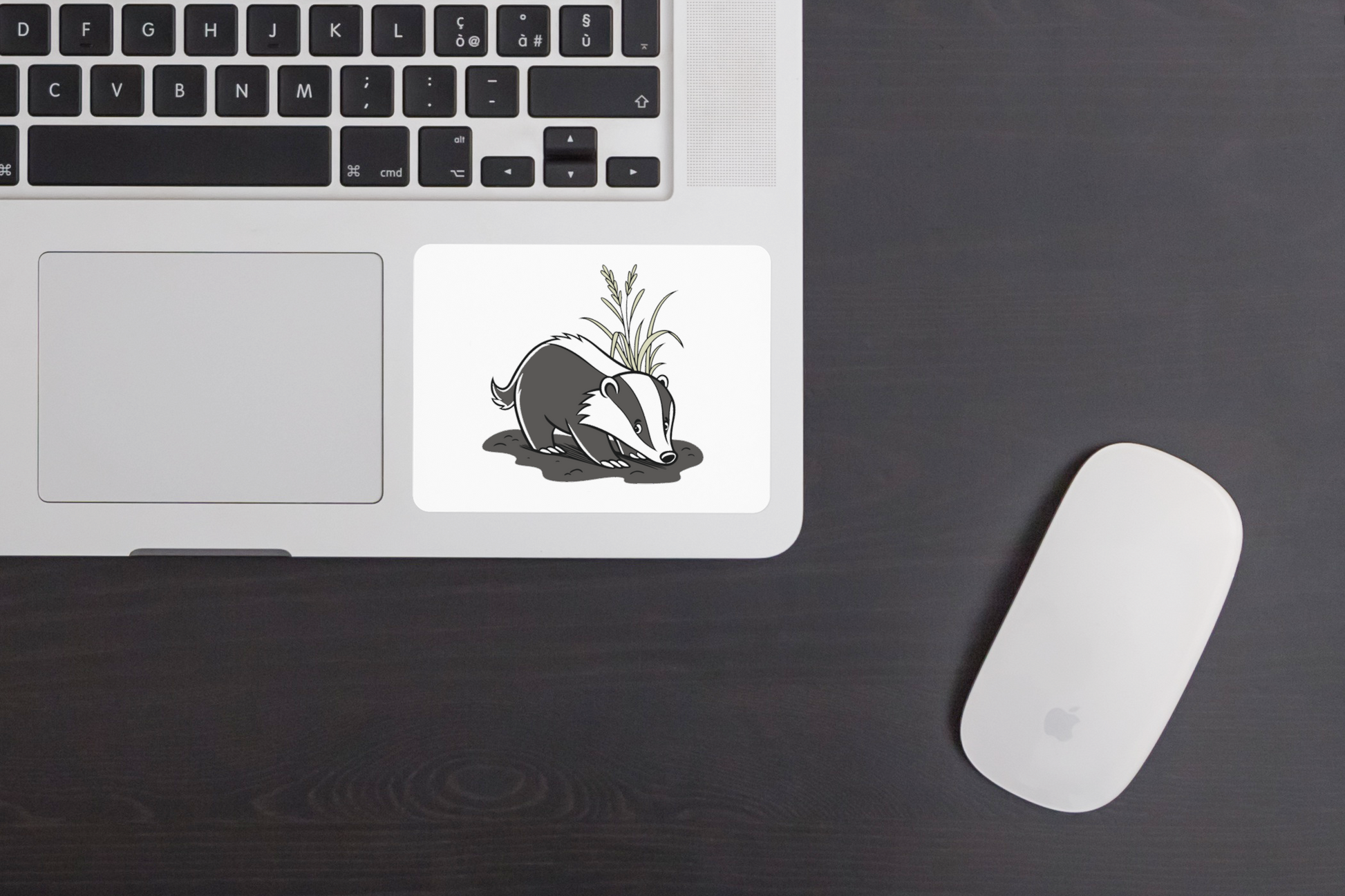 Sticker avec blaireau en style cartoon thème forestier