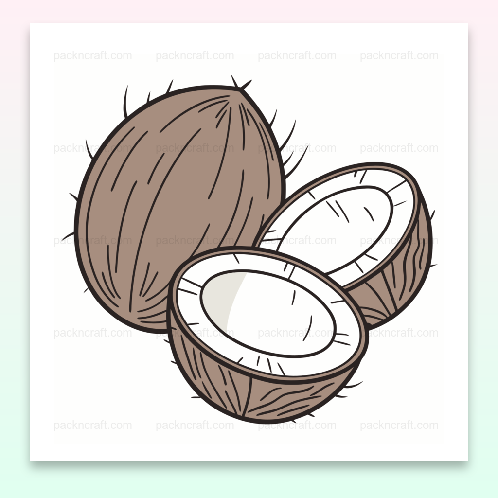 Illustration de noix de coco fendue, idéale pour créations tropicales et papeterie