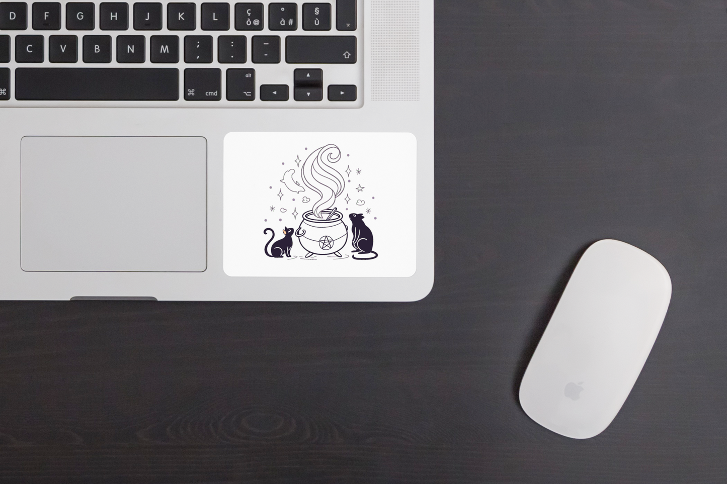 Sticker avec chats mystérieux curieux autour d’un chaudron thème sorcellerie
