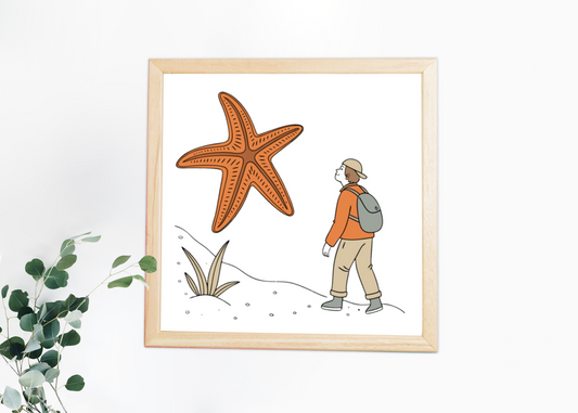 Cadre en bois avec dessin aventure et étoile de mer géante en illustration centrale